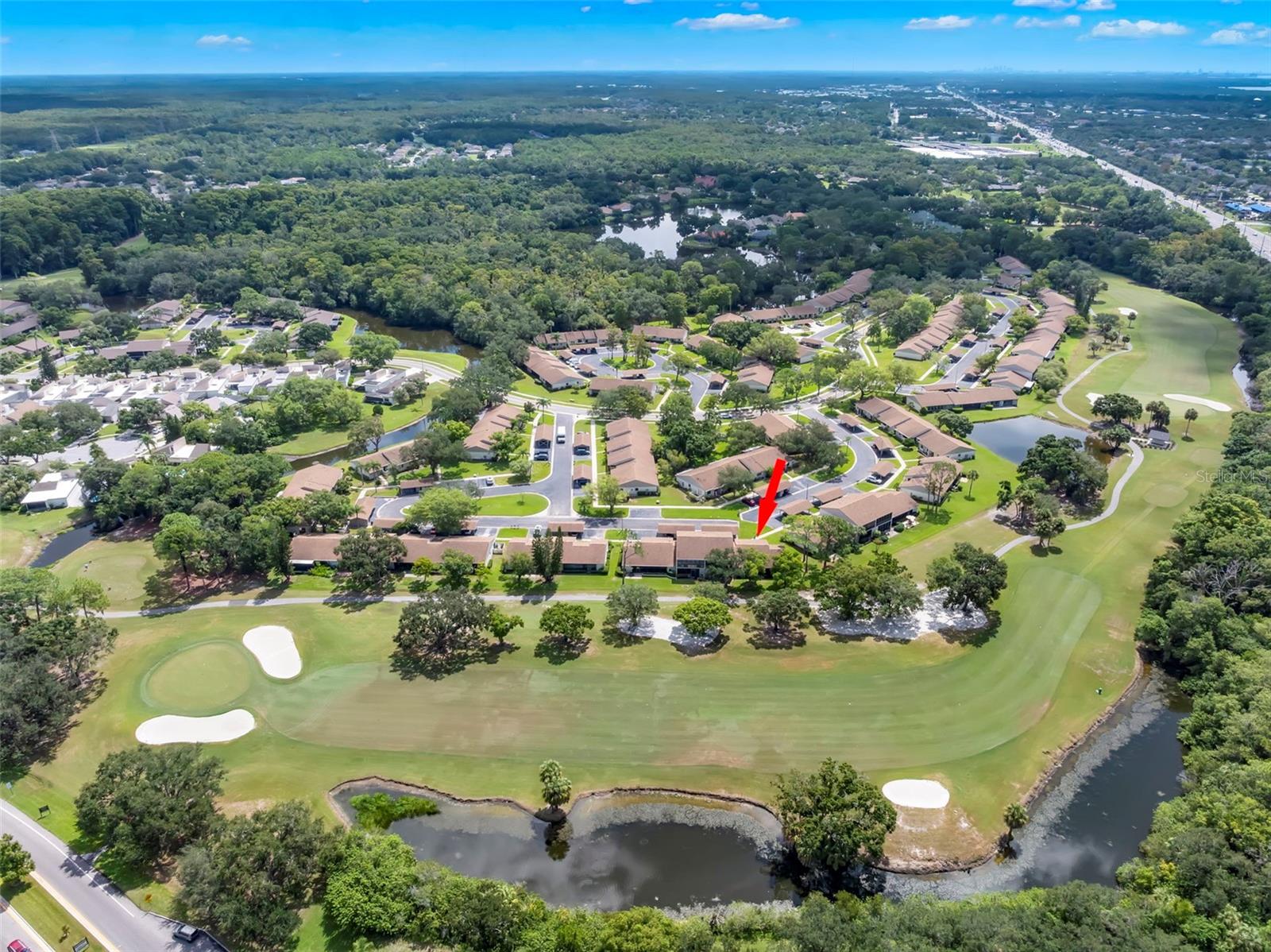 38th image of 180 Tads Trl, Oldsmar, FL 34677 | MLS# TB8541050