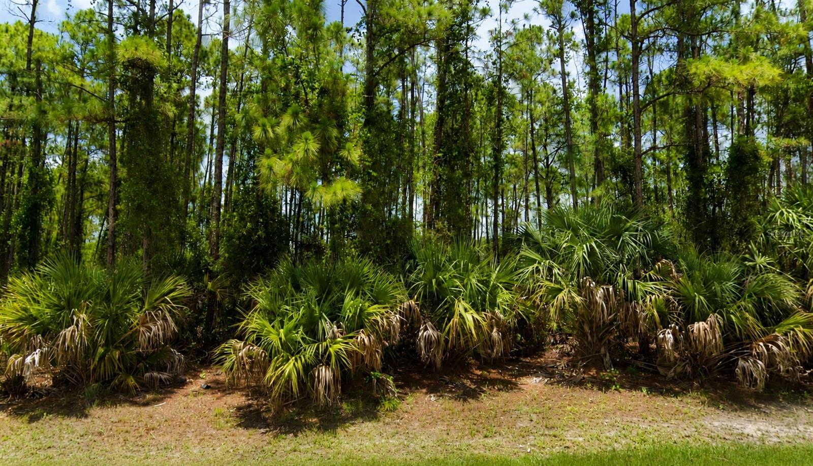 1st image of 00 Kedgewick Ln, North Port, FL 34288 | MLS# O6435646