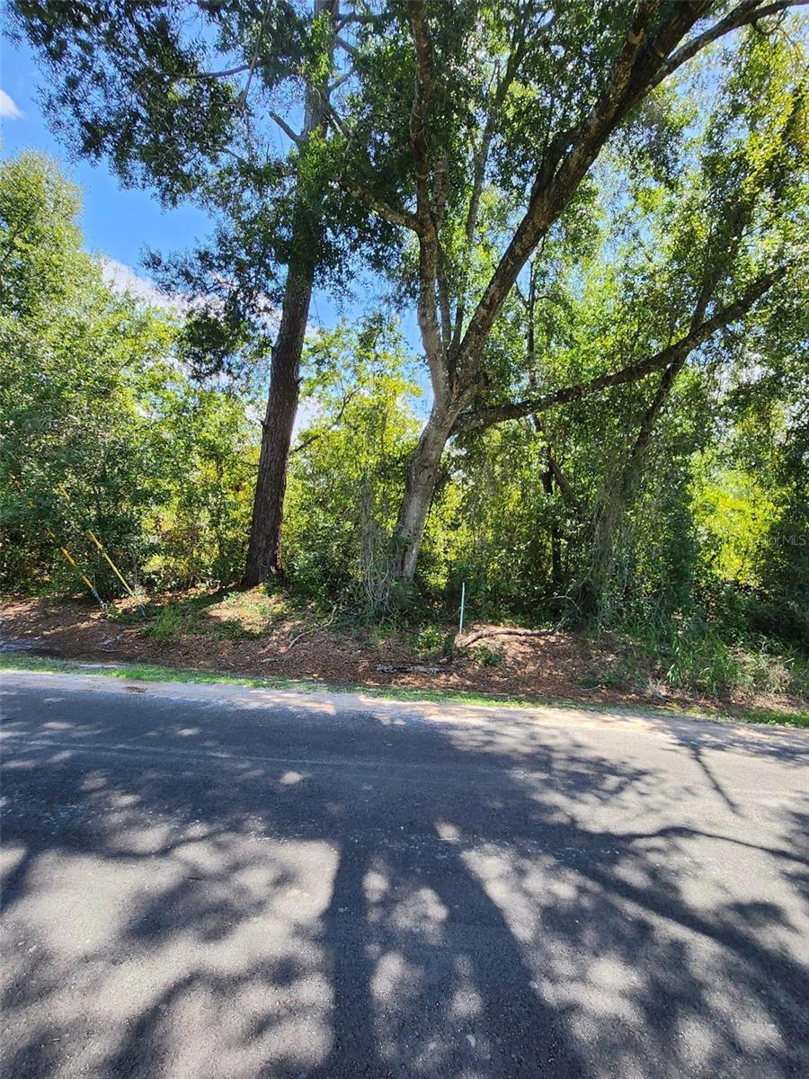 3rd image of 6th Ave, Deland, FL 32724 | MLS# S5156080