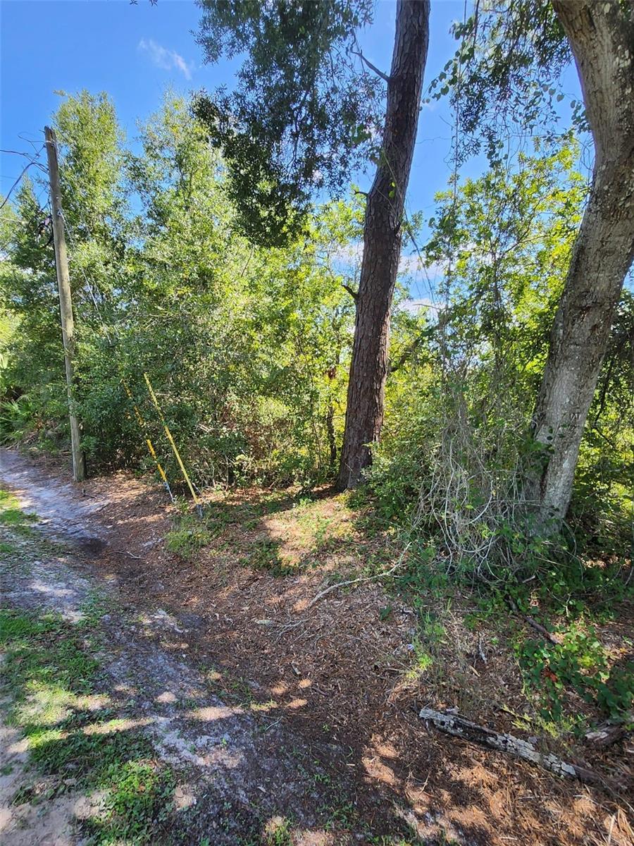 2nd image of 6th Ave, Deland, FL 32724 | MLS# S5156080