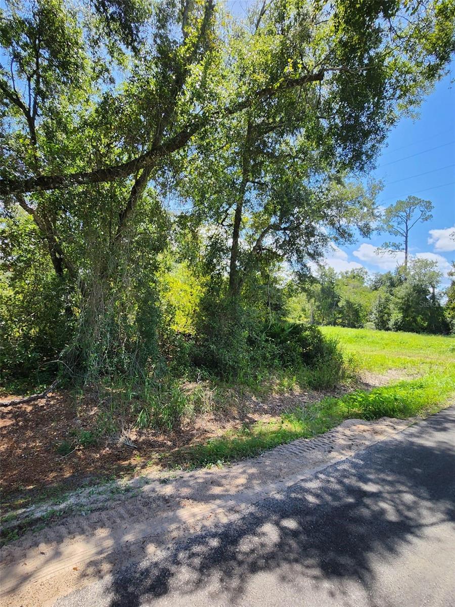 1st image of 6th Ave, Deland, FL 32724 | MLS# S5156080