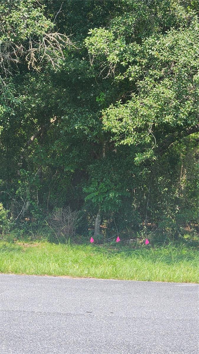 4th image of Sw 47th Ct, Ocala, FL 34473 | MLS# G5116814