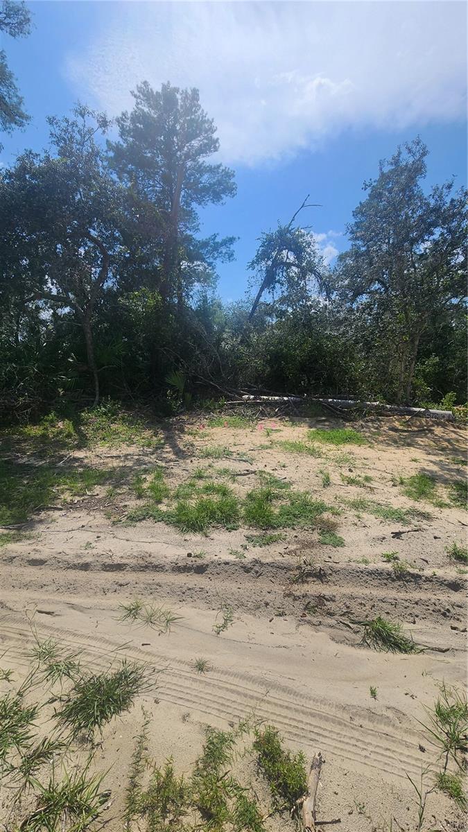 3rd image of Marion Oaks Ln Ln, Ocala, FL 34473 | MLS# G5116816