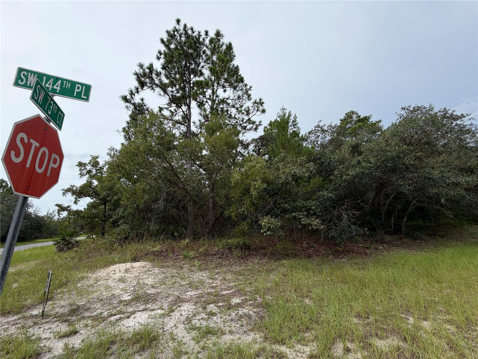 9th image of 0 Sw 144th Pl, Ocala, FL 34480 | MLS# OM730904