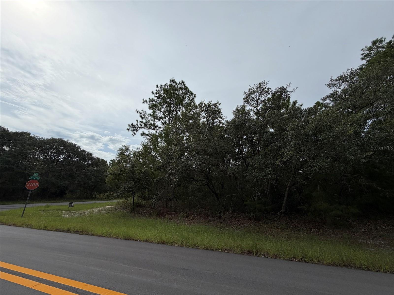 5th image of 0 Sw 144Th Pl, Ocala, FL 34480 | MLS# OM730904