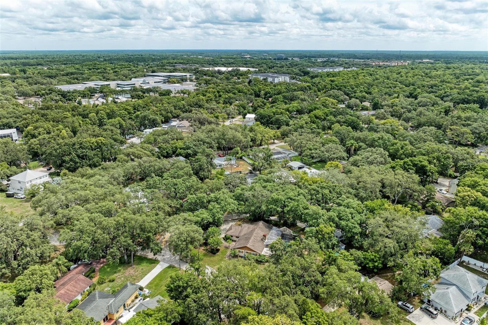 32nd image of 11710 North Dr, Tampa, FL 33617 | MLS# TB8541547