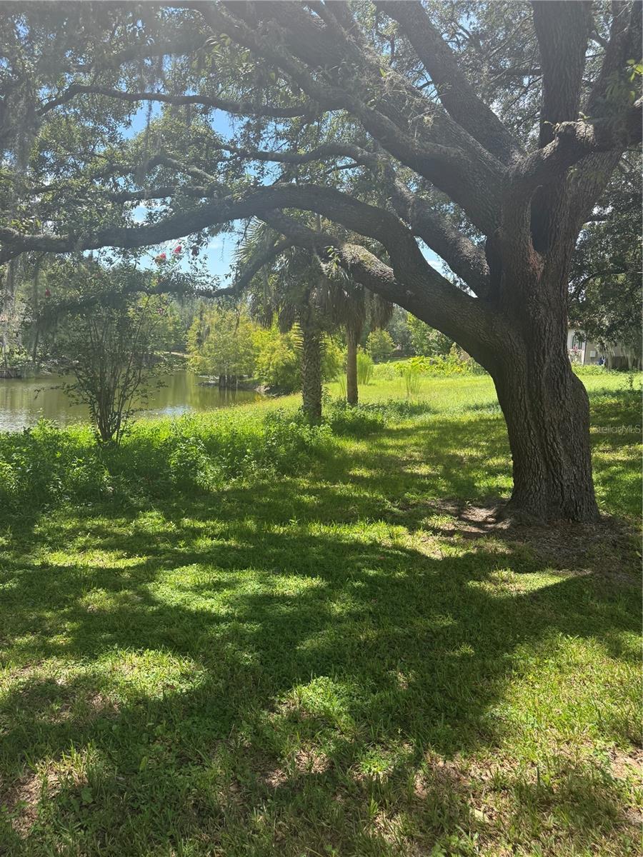 5th image of Park Ridge Gotha Rd, Windermere, FL 34786 | MLS# S5156135