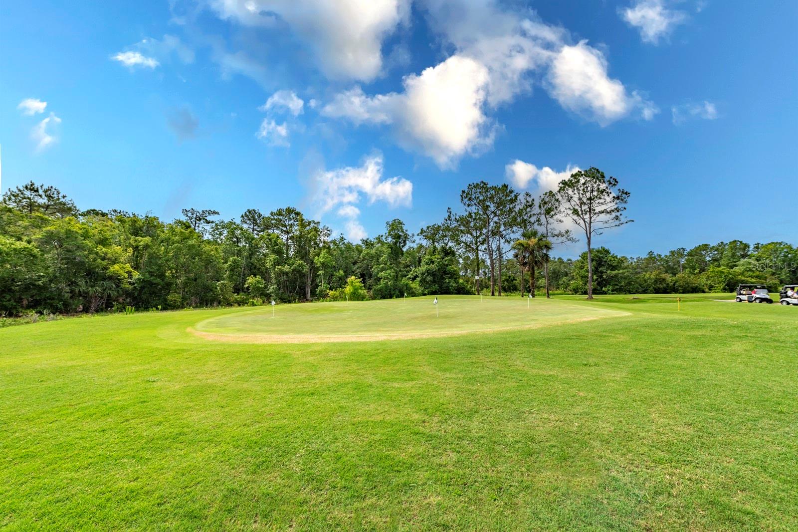 28th image of 1024 Saint Ives Ct, Mount Dora, FL 32757 | MLS# G5116835