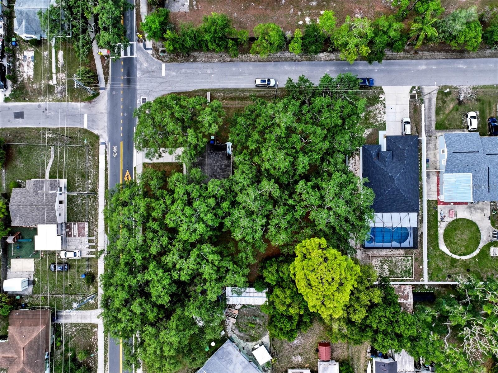 36th image of 7602 N Boulevard, Tampa, FL 33604 | MLS# TB8541641