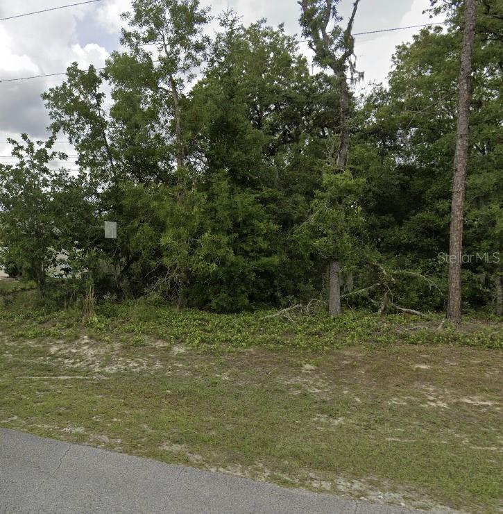 1st image of Lot 4 Sw 155 Pl, Ocala, FL 34473 | MLS# O6435936