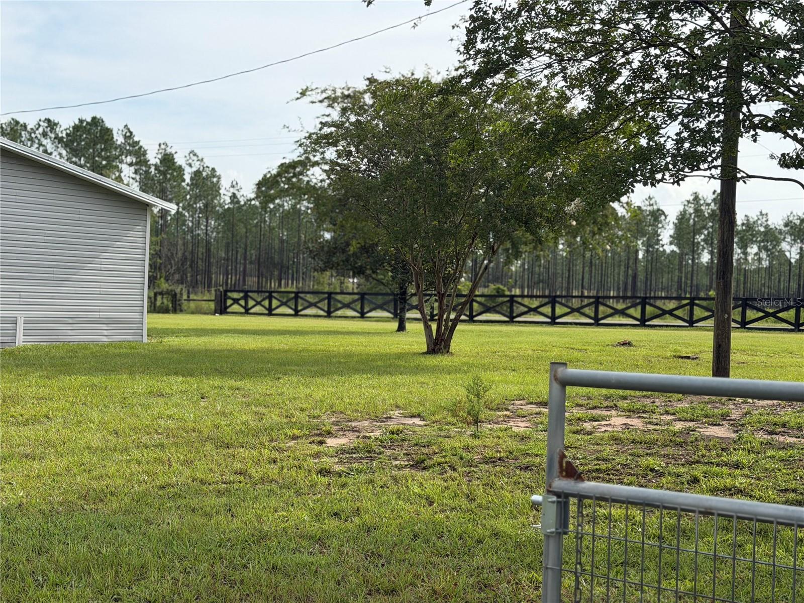 4th image of 13991 Ne 10Th St, Williston, FL 32696 | MLS# OM730931