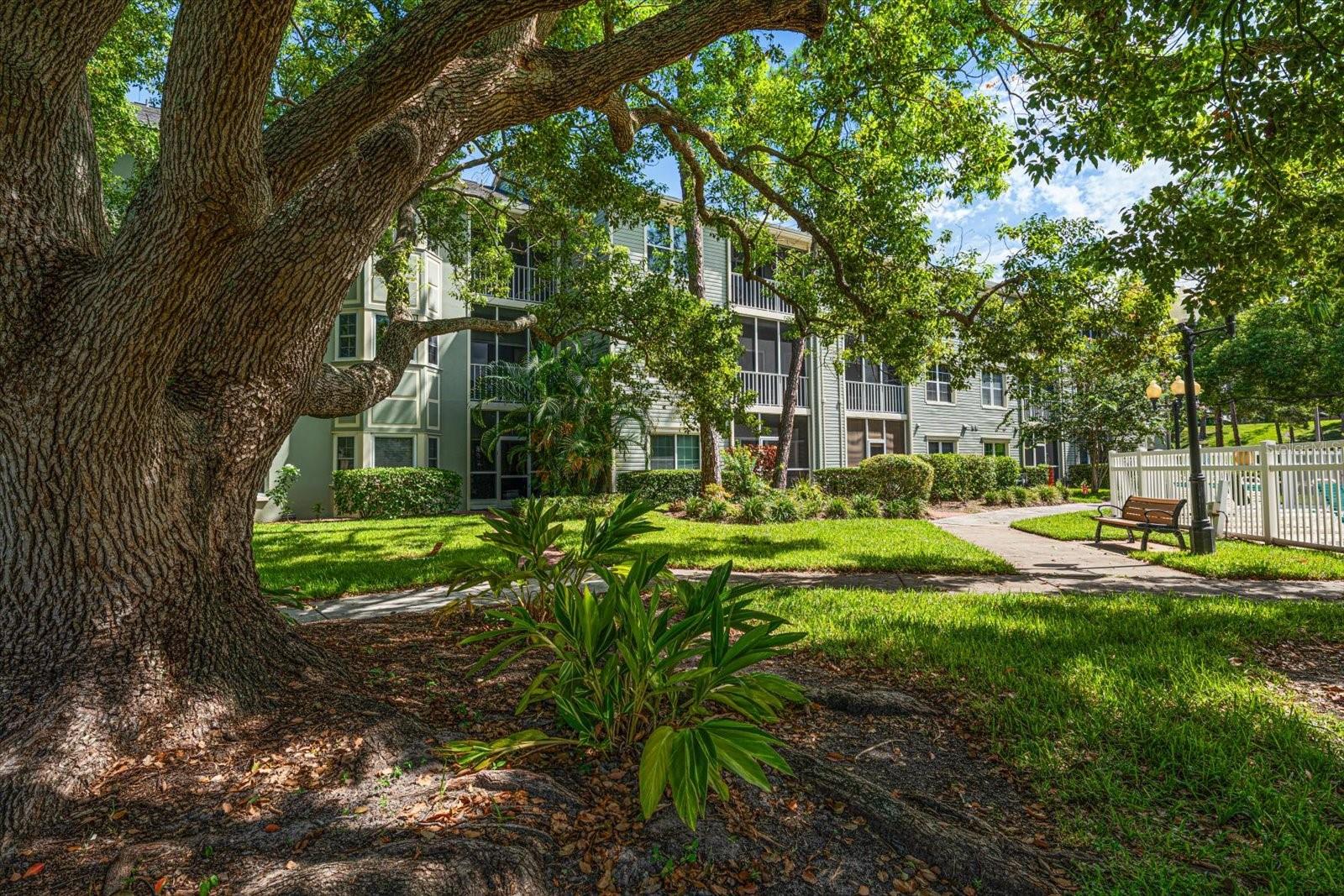 2nd image of 330 Promenade Dr, DUNEDIN, FL 34698