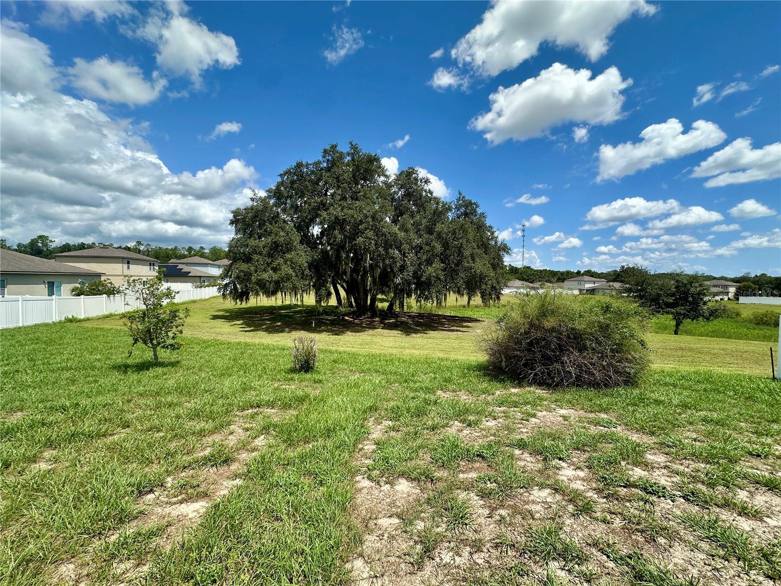 2nd image of 15409 Ivory Gull Ln, Mascotte, FL 34753 | MLS# G5116893