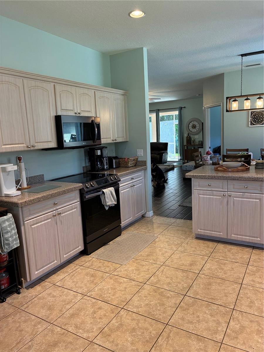 4th image of 8872 Founders Cir, Palmetto, FL 34221 | MLS# S5156206