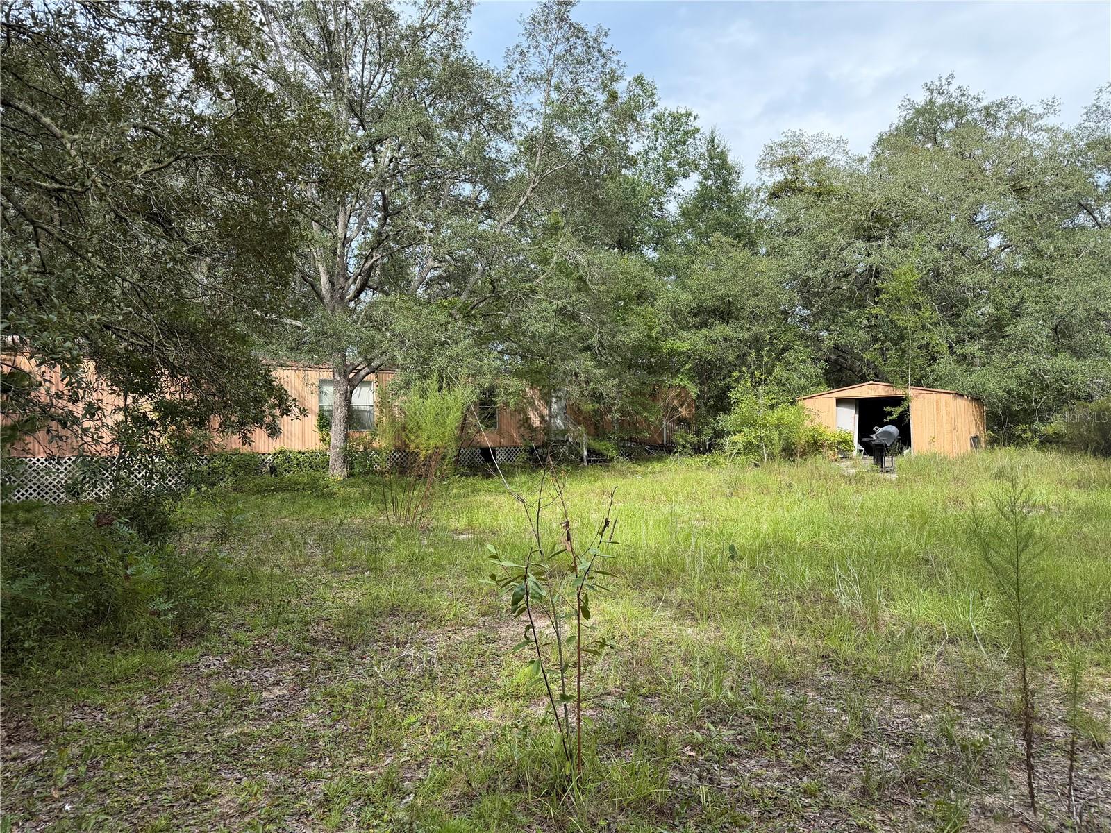 Photo 5 of Land for sale at 11590 Ne 88Th Ln, Bronson, FL 32621 | MLS# OM730968 | Listing updated on 2026-09-04