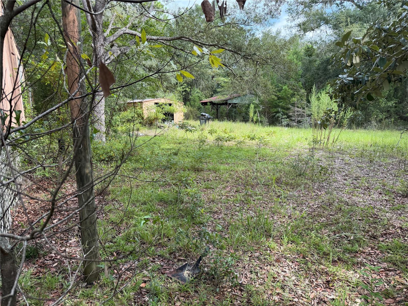 Photo 4 of Land for sale at 11590 Ne 88Th Ln, Bronson, FL 32621 | MLS# OM730968 | Listing updated on 2026-09-04