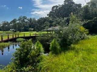 15th image of 12919 Broleman Rd, Orlando, FL 32832 | MLS# A4703906