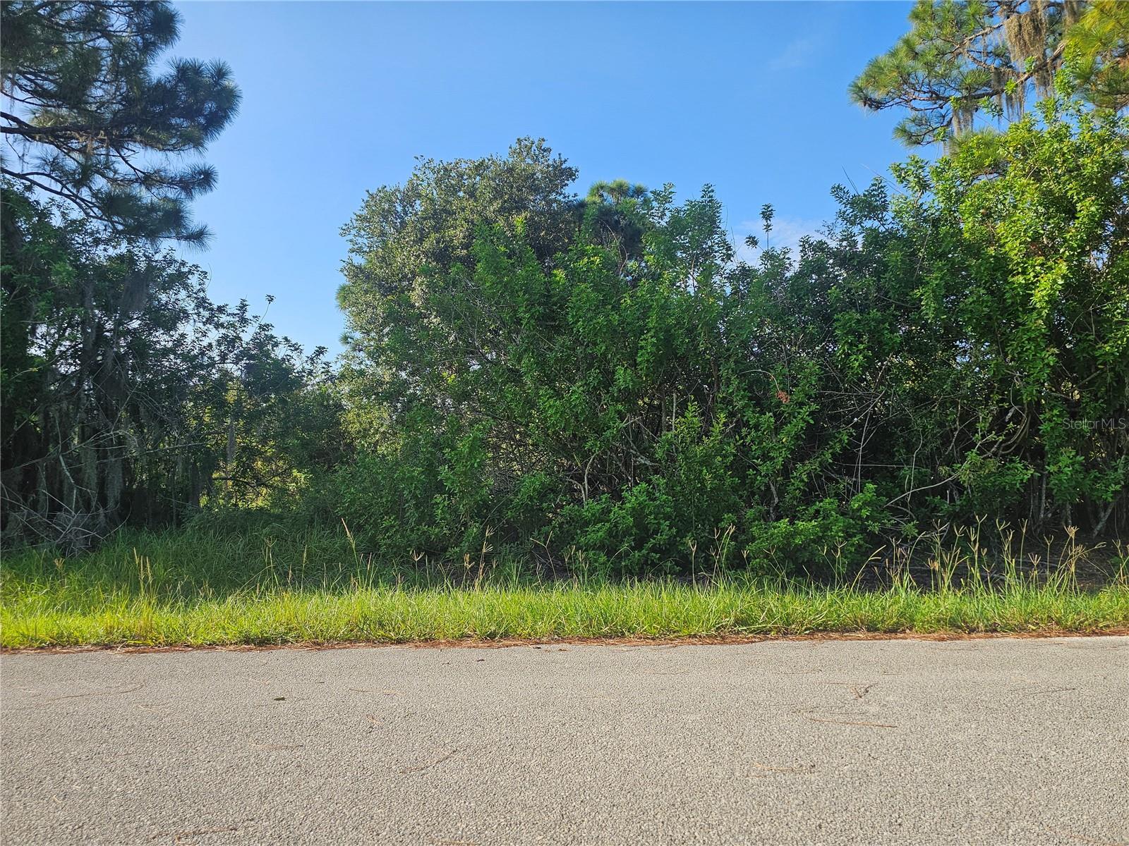 1st image of 251 Sunbeam Ct, Lake Placid, FL 33852 | MLS# P4939694