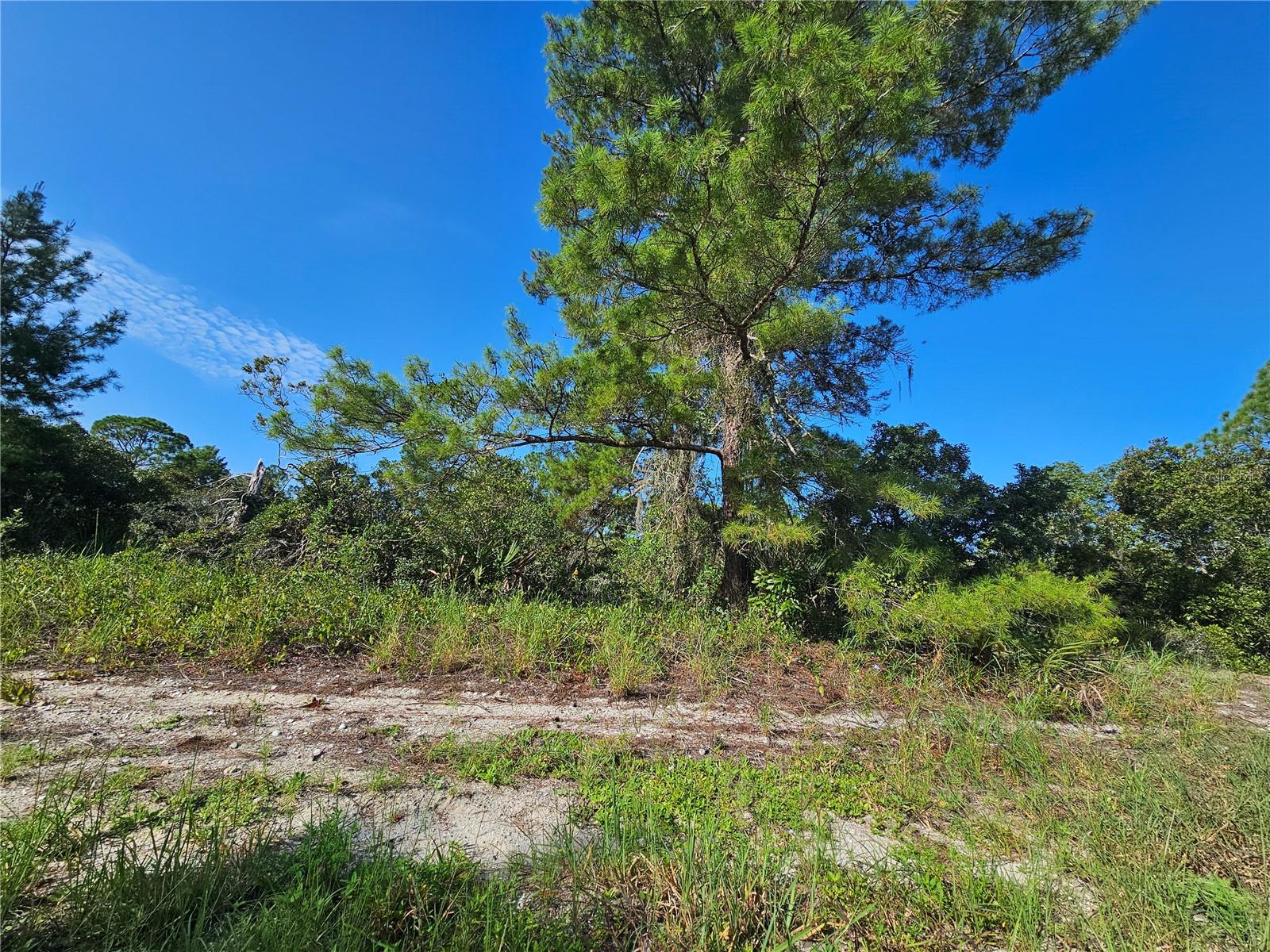 9th image of 476 Lake Helen Dr, Lake Placid, FL 33852 | MLS# P4939695