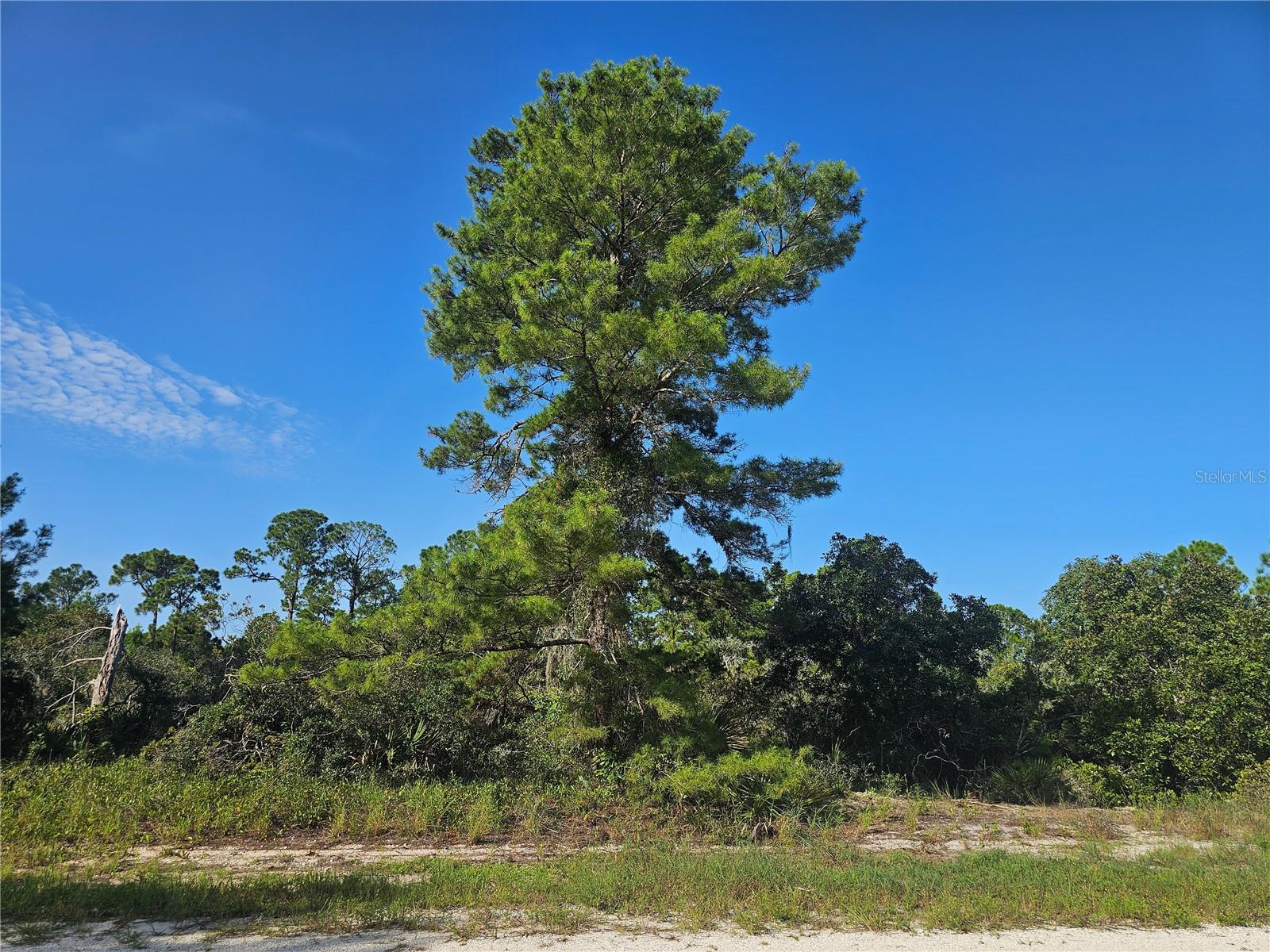 1st image of 476 Lake Helen Dr, Lake Placid, FL 33852 | MLS# P4939695