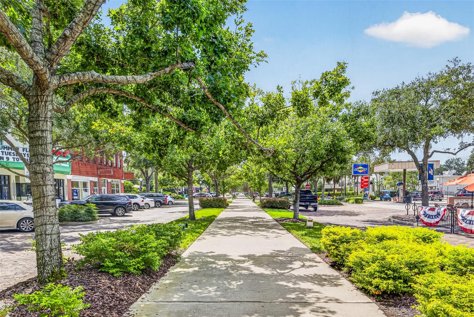 29th image of 301 Valencia Ct, Winter Garden, FL 34787 | MLS# NS1089084