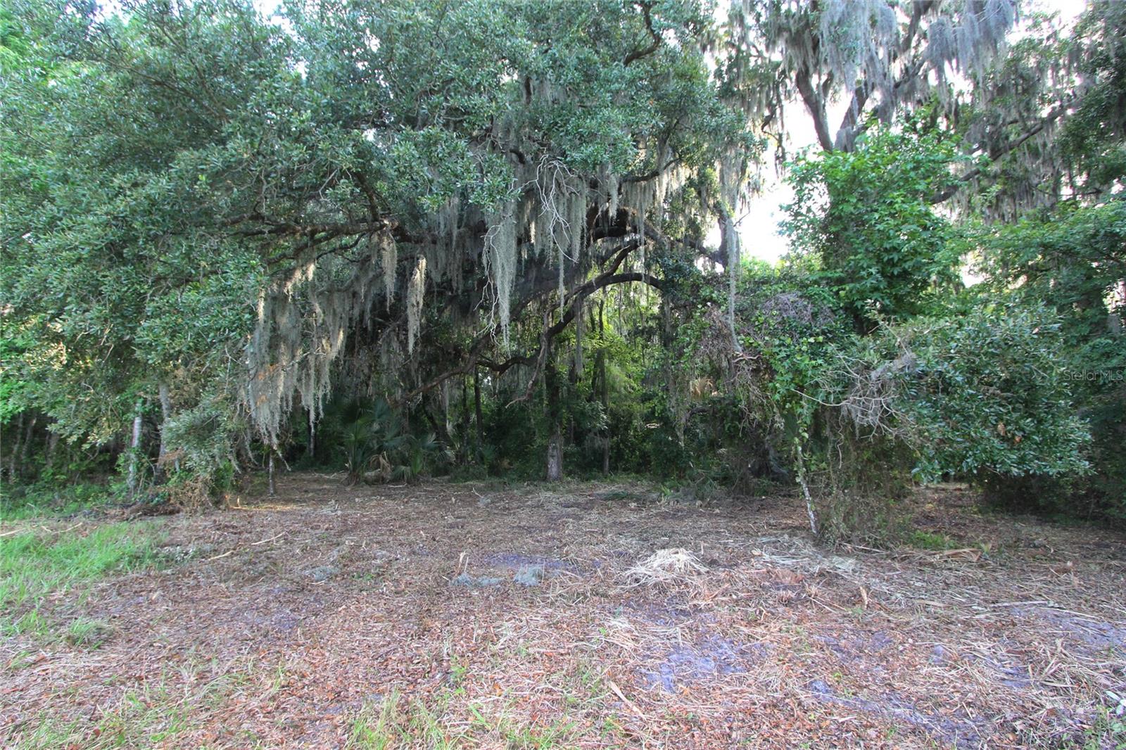 1st image of Tbd Cr 526, Sumterville, FL 33585 | MLS# G5116919