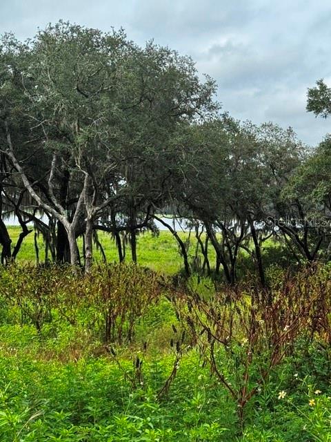 3rd image of Tbd Sw Shorewood Dr, Dunnellon, FL 34431 | MLS# OM731070