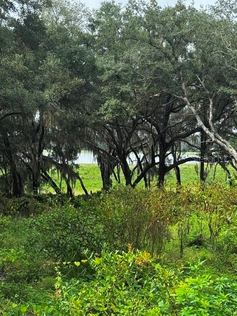 5th image of Tbd Sw Shorewood Dr, Dunnellon, FL 34431 | MLS# OM731070