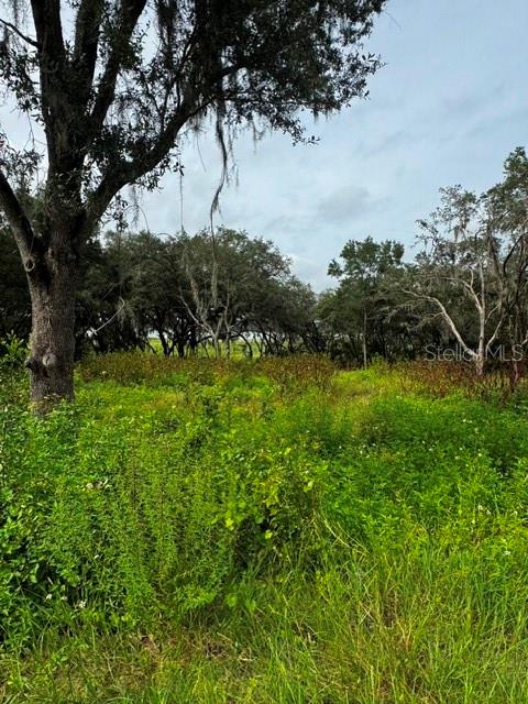 4th image of Tbd Sw Shorewood Dr, Dunnellon, FL 34431 | MLS# OM731070