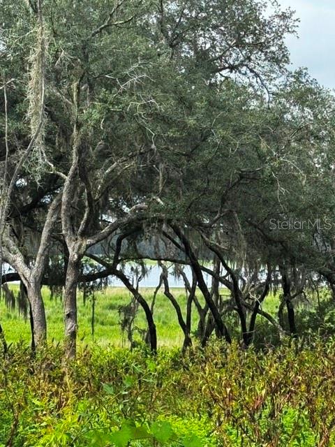 1st image of Tbd Sw Shorewood Dr, Dunnellon, FL 34431 | MLS# OM731070