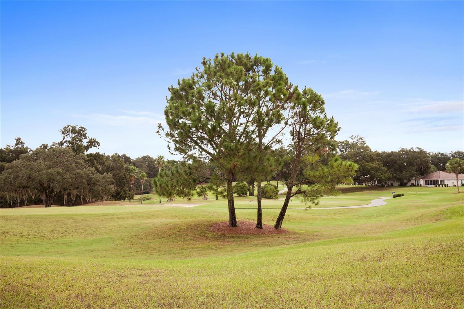 79th image of 13806 Se 93rd Ave, Summerfield, FL 34491 | MLS# OM731084