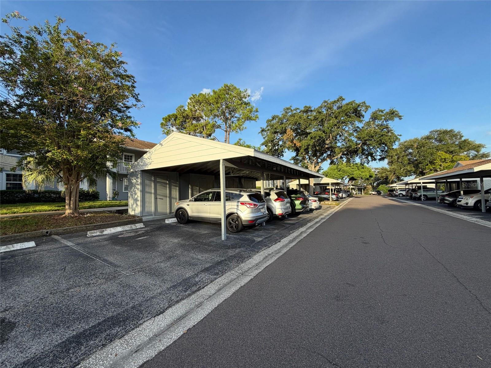 36th image of 1465 Millstream Ln #104, Dunedin, FL 34698 | MLS# O6436635