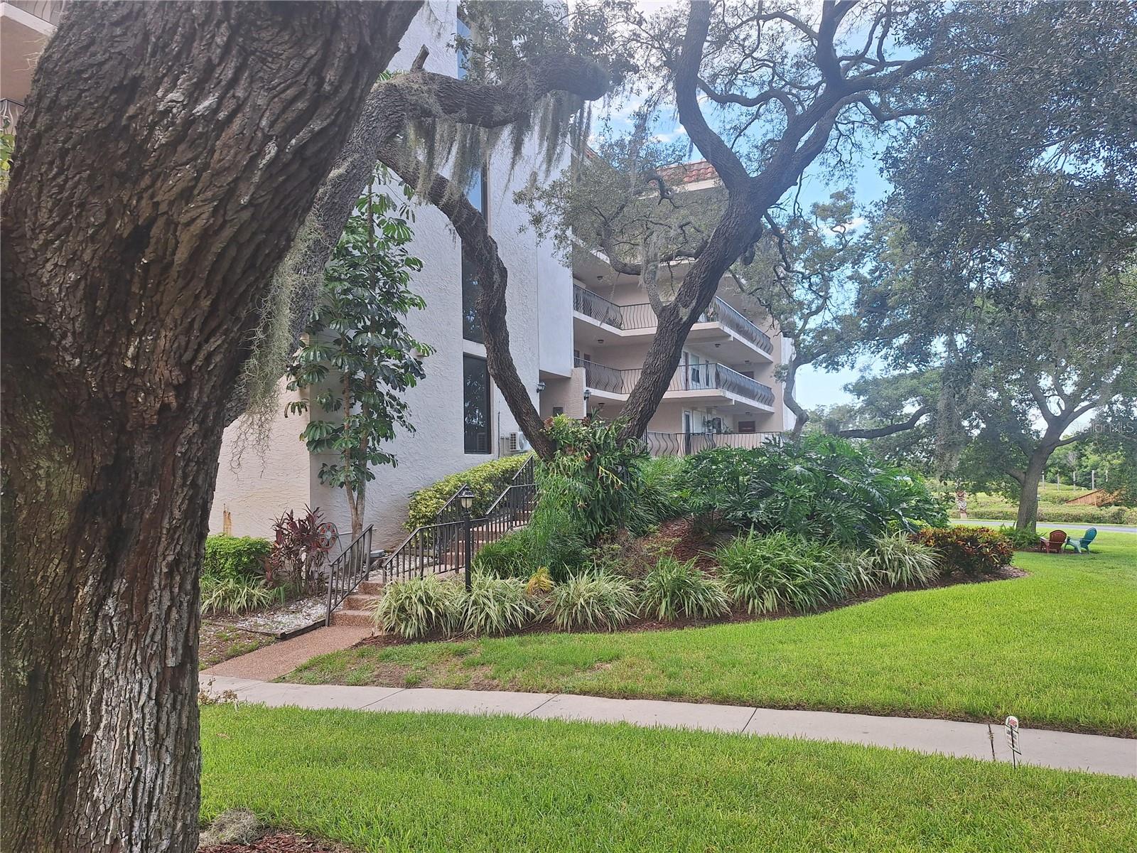 2nd image of 504 S Florida Ave, TARPON SPRINGS, FL 34689
