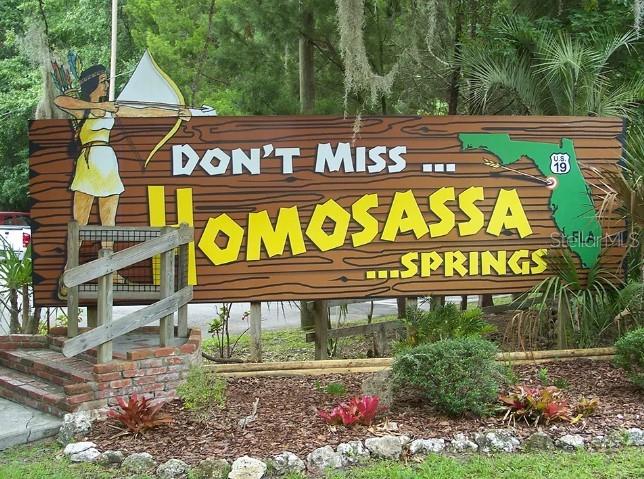 25th image of 15 Cylamen Ct, Homosassa, FL 34446 | MLS# O6436804
