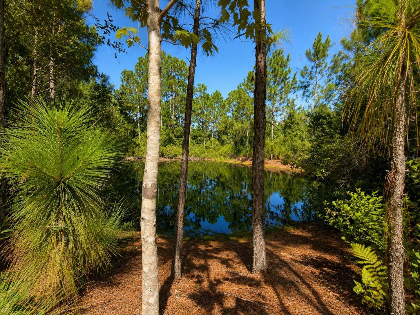 3rd image of 5350 Osceola Dr, St Cloud, FL 34773 | MLS# S5156360
