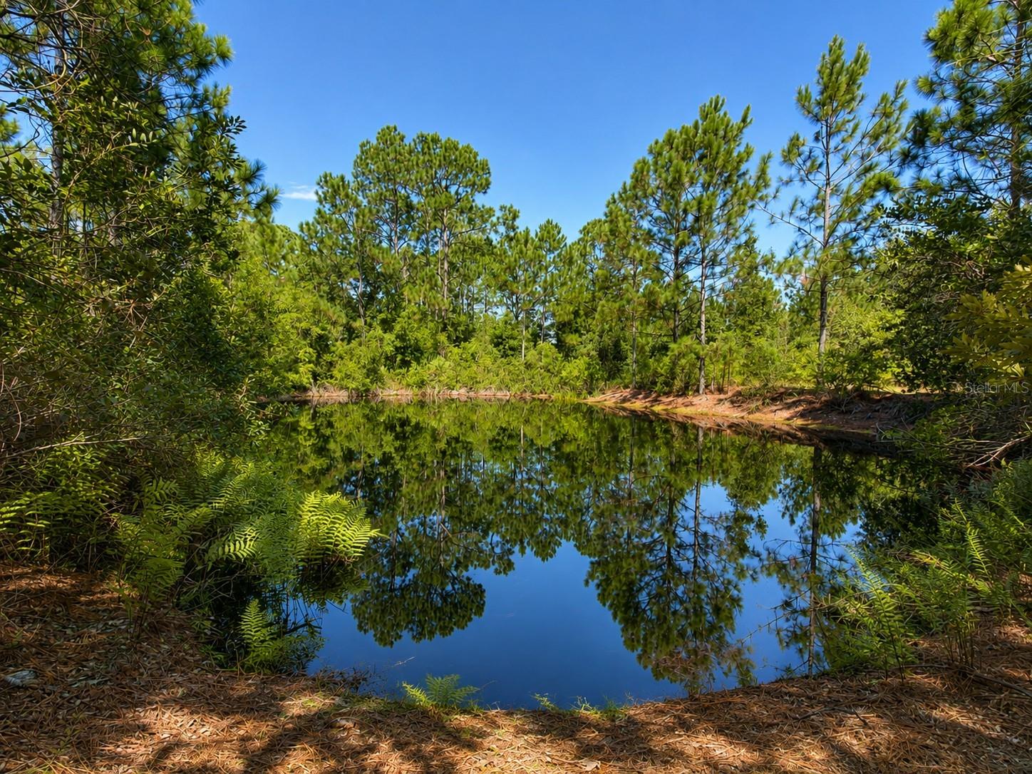 4th image of 5350 Osceola Dr, St Cloud, FL 34773 | MLS# S5156360