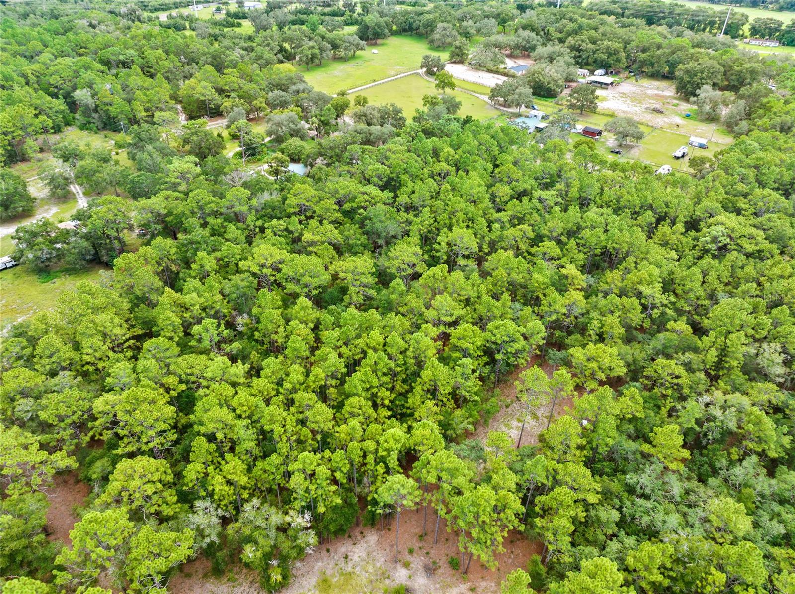 Photo 2 of Land for sale at 0 Shaver Dr, Brooksville, FL 34601 | MLS# TB8542817 | Listing updated on 2026-09-02