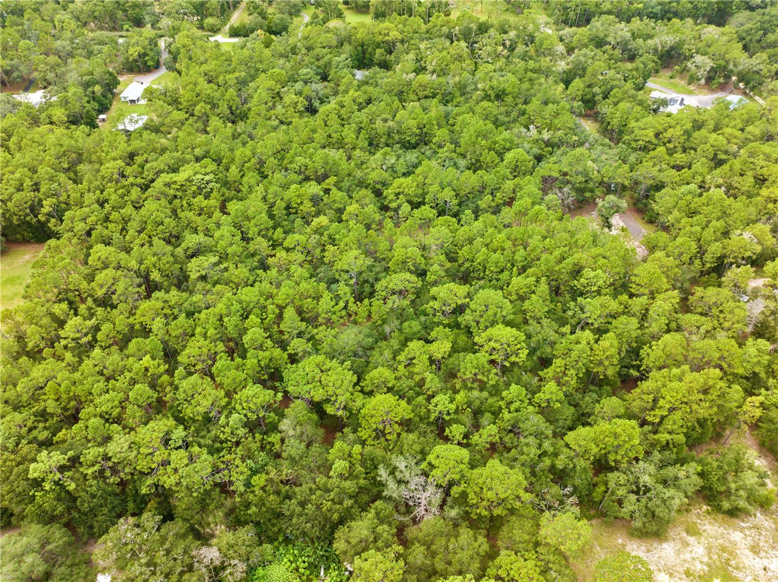 Photo 4 of Land for sale at 0 Shaver Dr, Brooksville, FL 34601 | MLS# TB8542817 | Listing updated on 2026-09-02