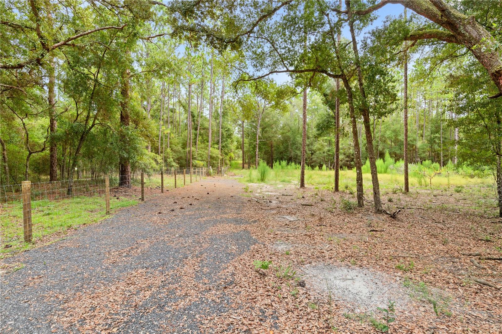 Photo 1 of Land for sale at 0 Shaver Dr, Brooksville, FL 34601 | MLS# TB8542817 | Listing updated on 2026-09-02