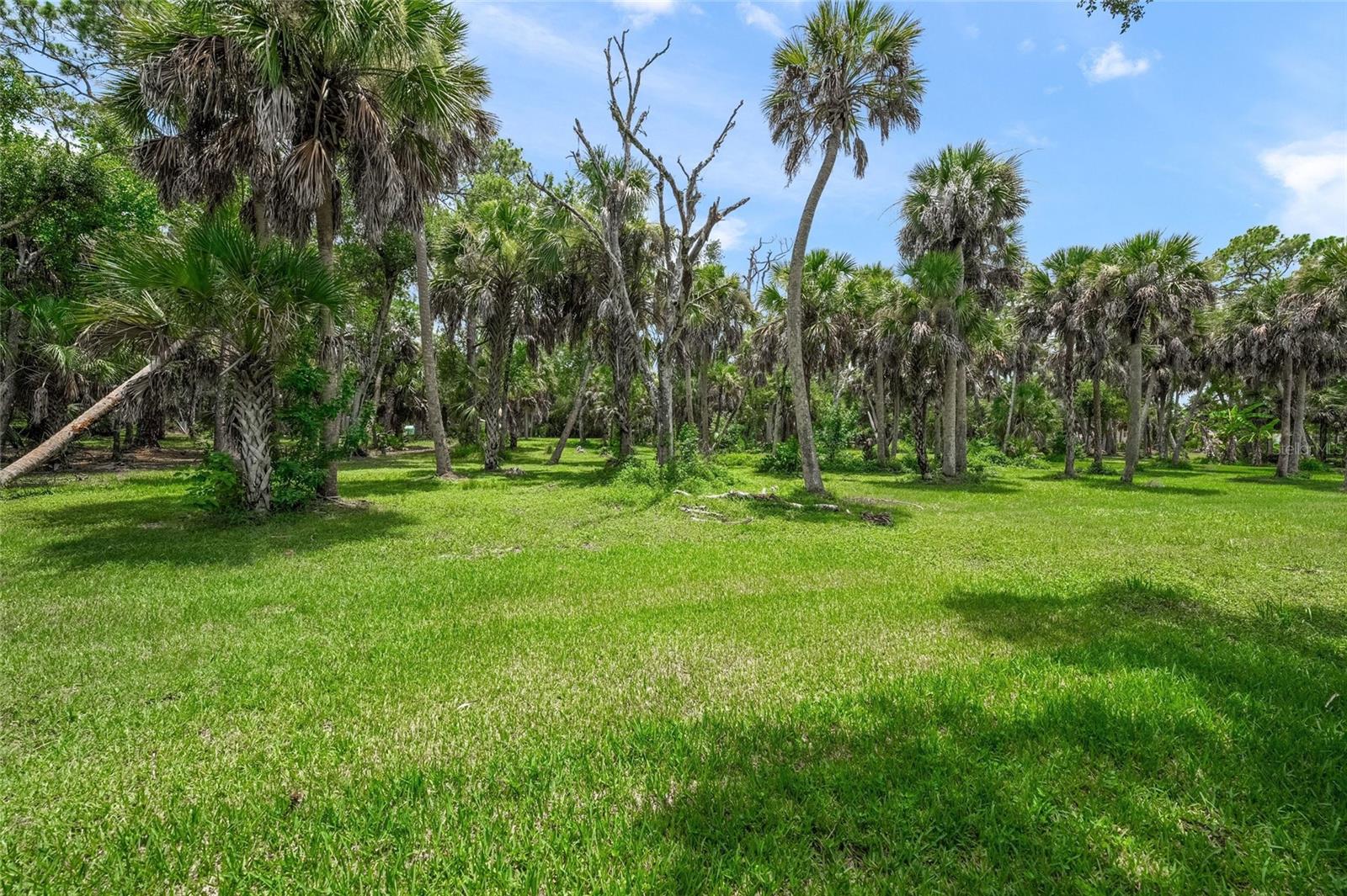 5th image of 0 Twin Lakes Ave, Nokomis, FL 34275 | MLS# N6145503
