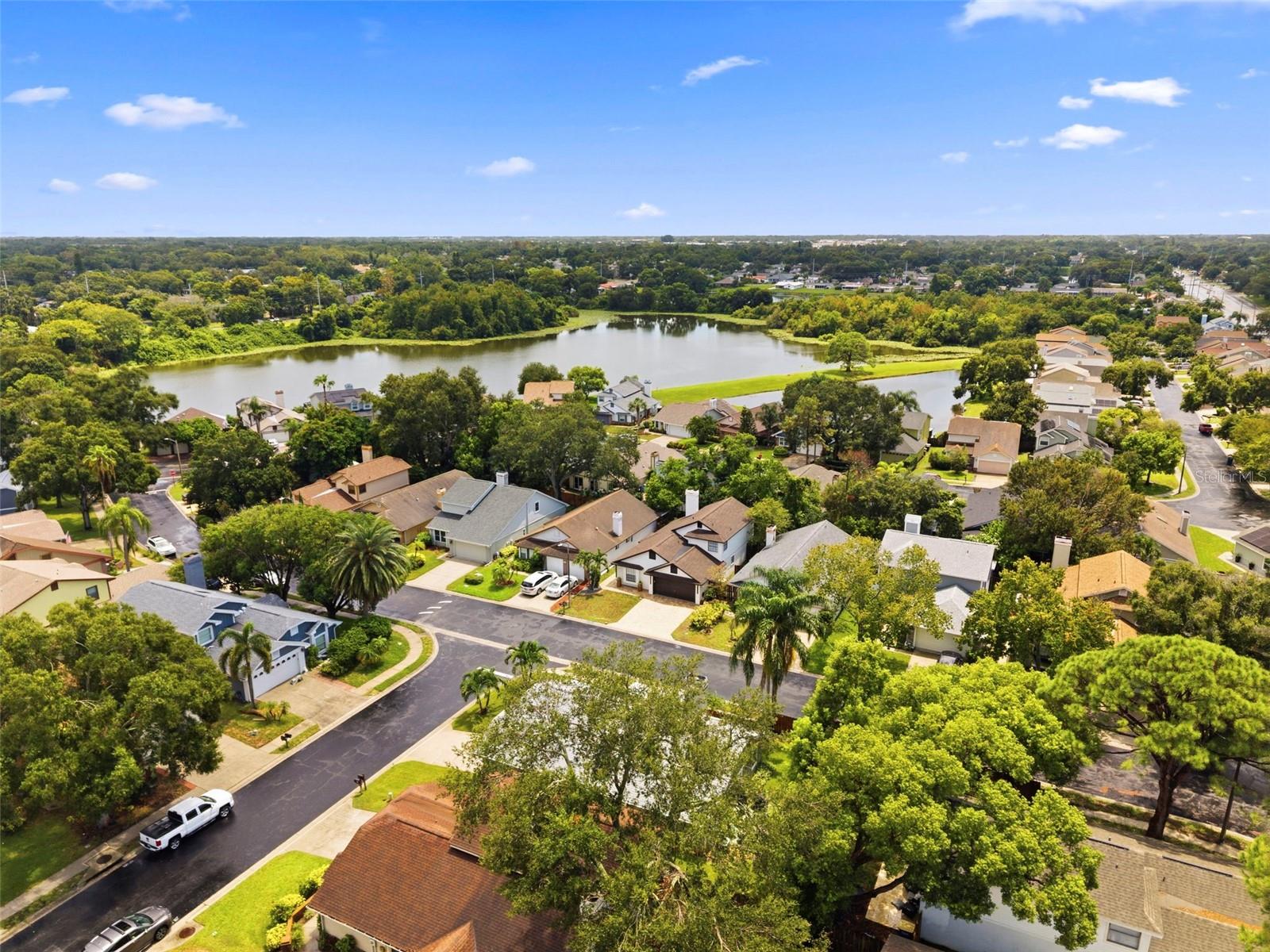 56th image of 2234 Springflower Dr, Clearwater, FL 33763 | MLS# TB8542857