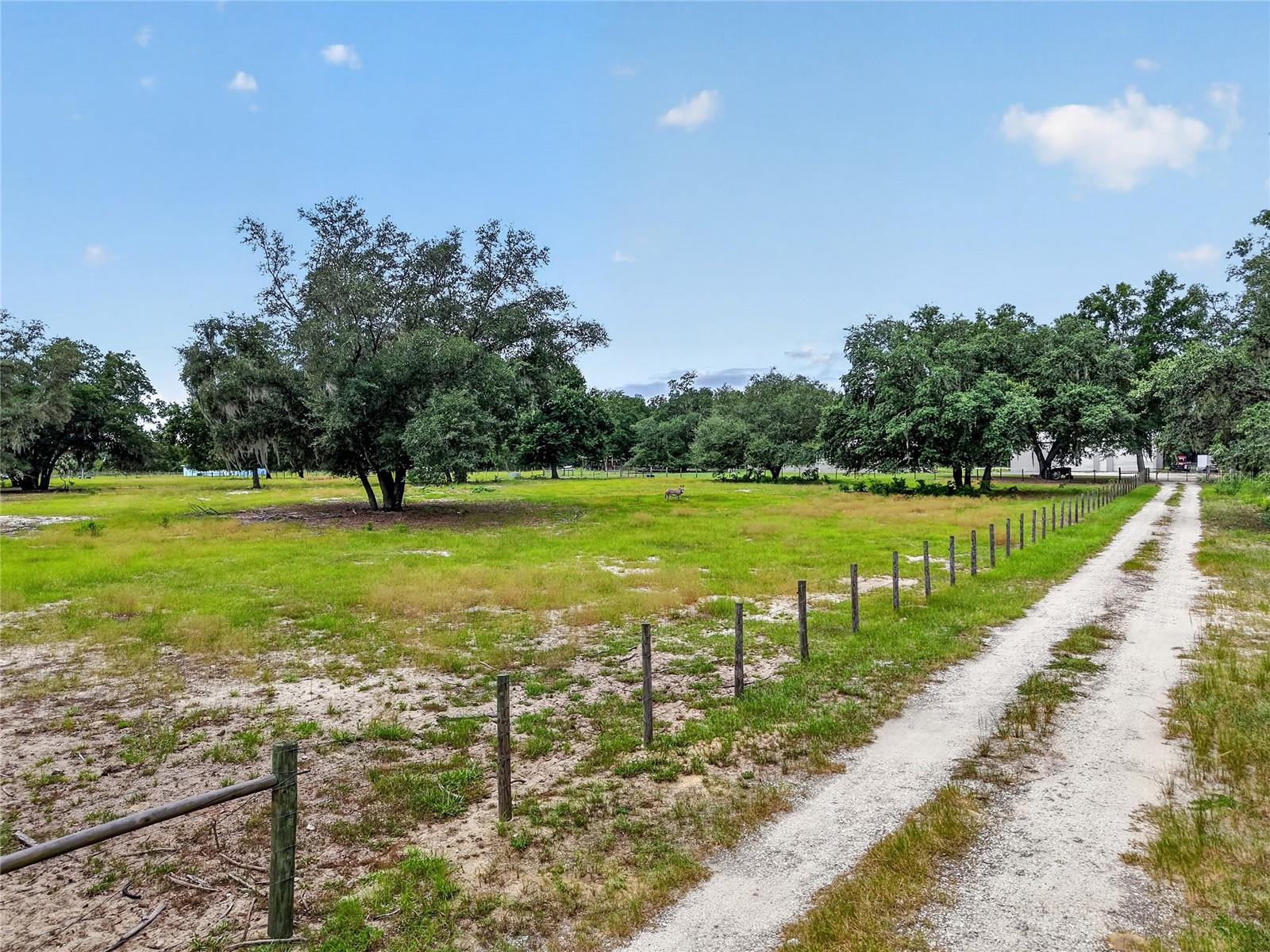 2nd image of 10648 Se Hwy 464c, Ocklawaha, FL 32179 | MLS# OM731155