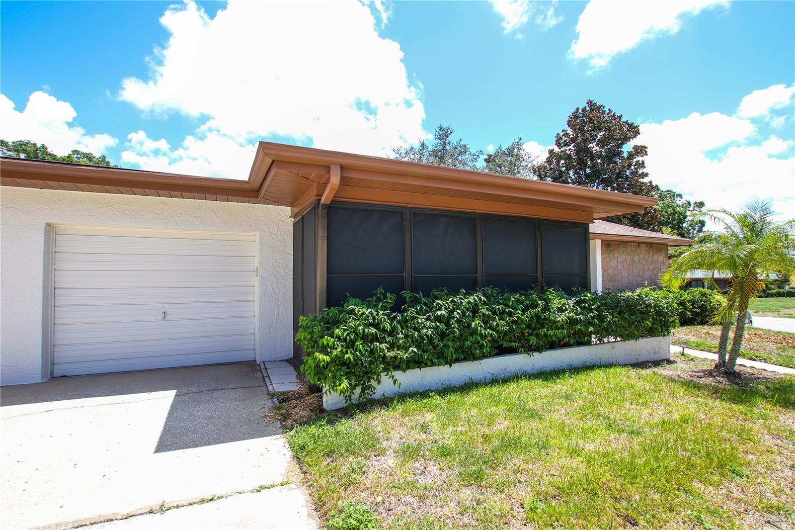 4th image of 2360 Shelly Dr, PALM HARBOR, FL 34684