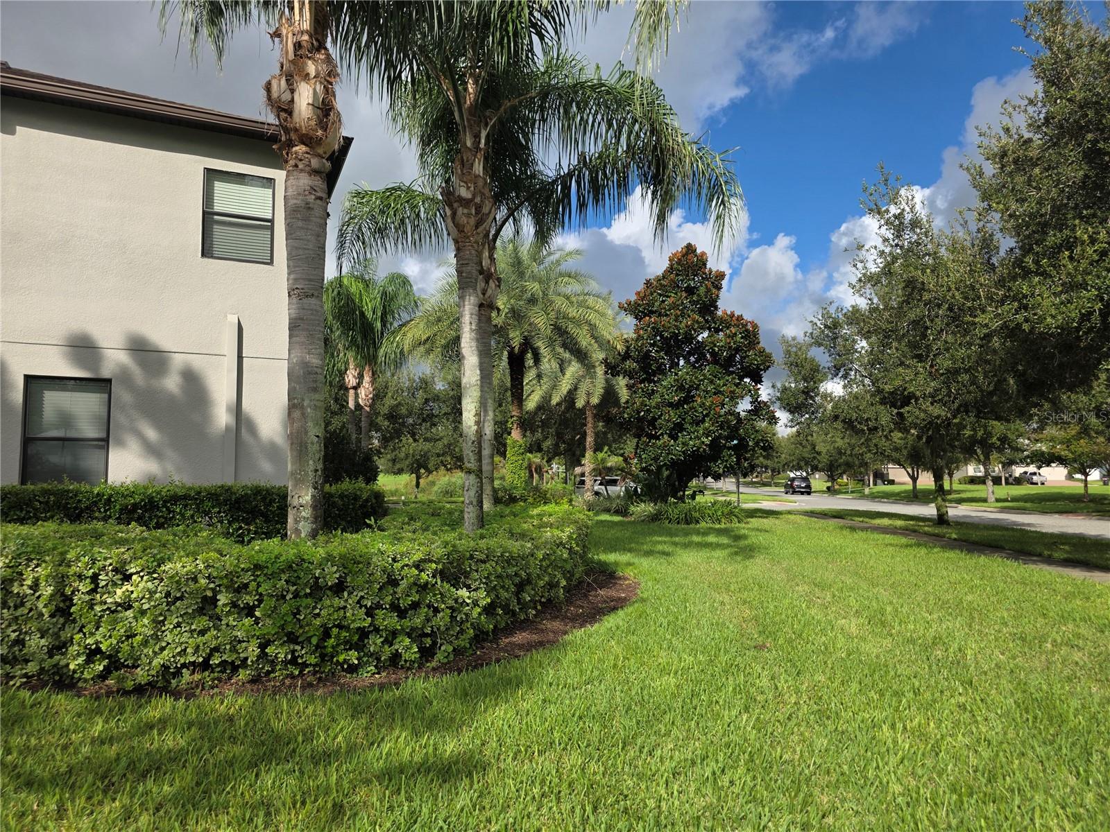 Photo 3 of Single family home for sale at 8001 Pond Apple Dr, Winter Garden, FL 34787 | MLS# O6437864 | Listing updated on 2026-09-03