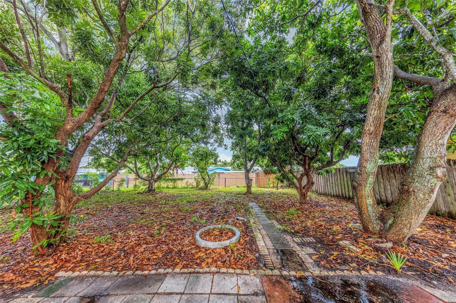 Photo 3 of Single family home for sale at 5621 11th Avenue N, Saint Petersburg, FL 33710 | MLS# TB8544219 | Listing updated on 2026-09-02