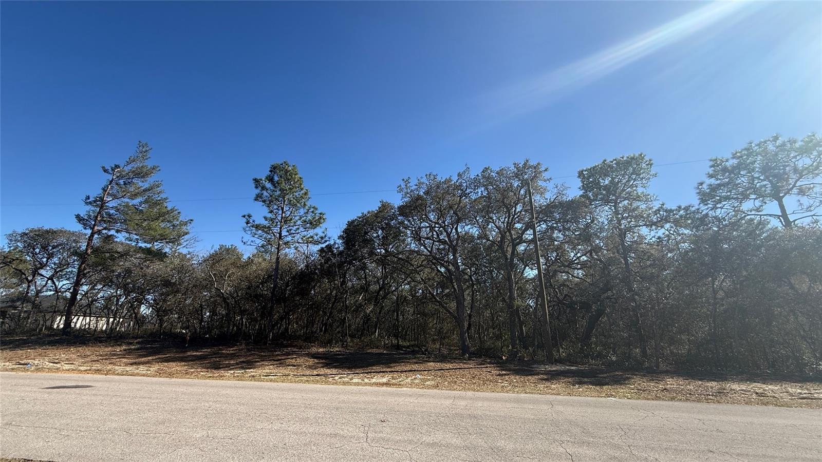 Photo 1 of Land for sale at Lot 11 Marion Oaks Pass, Ocala, FL 34473 | MLS# O6438387 | Listing updated on 2026-09-03