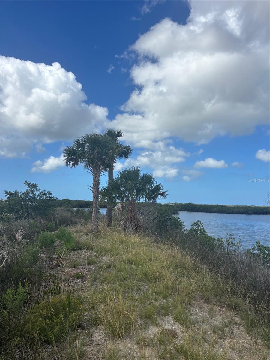 Photo 4 of Land for sale at 3217 Shine Ln, Spring Hill, FL 34607 | MLS# W7889140 | Listing updated on 2026-09-03