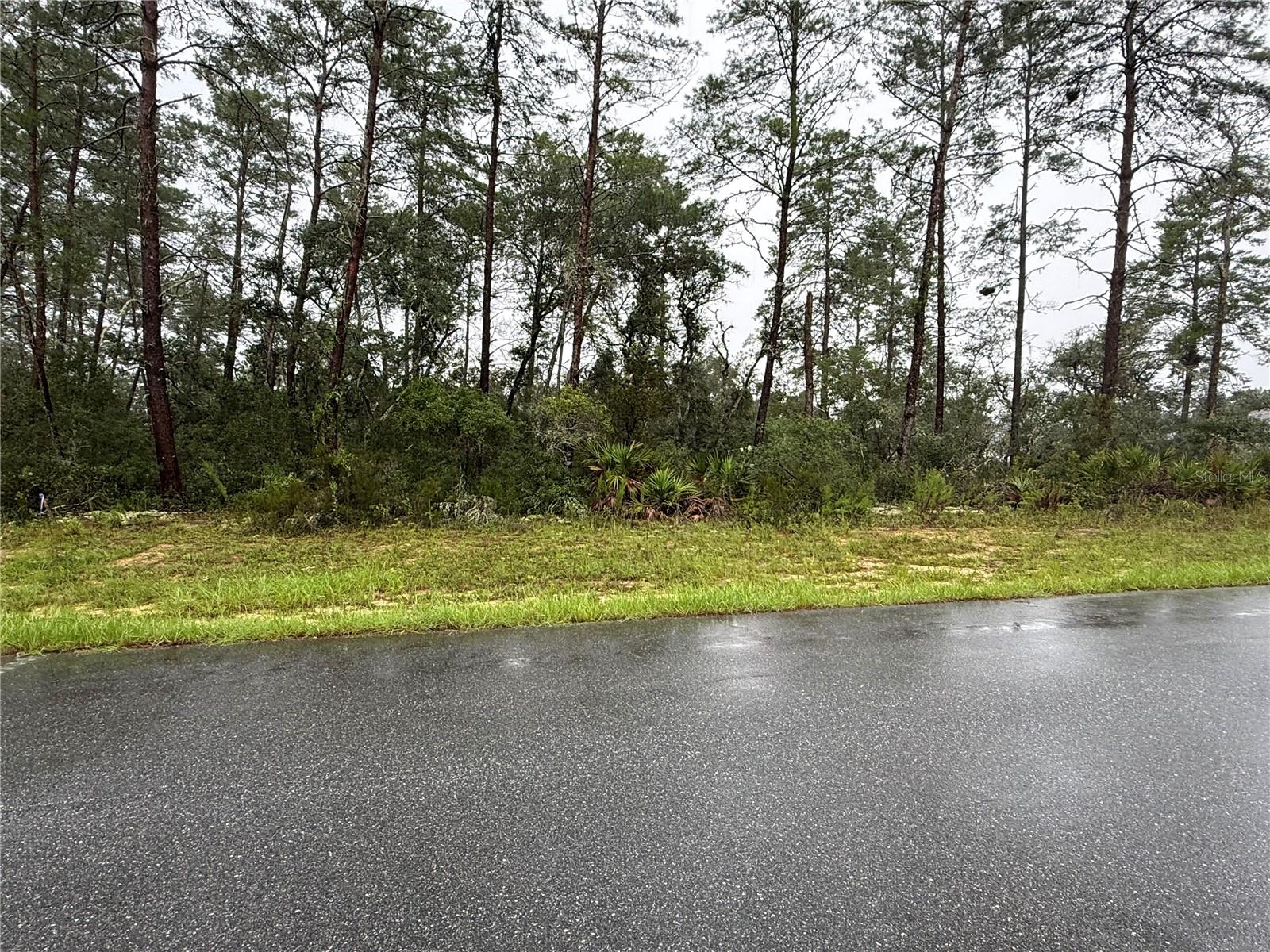 Photo 2 of Land for sale at 0 Sw 176th Loop, Ocala, FL 34473 | MLS# OM731576 | Listing updated on 2026-09-02