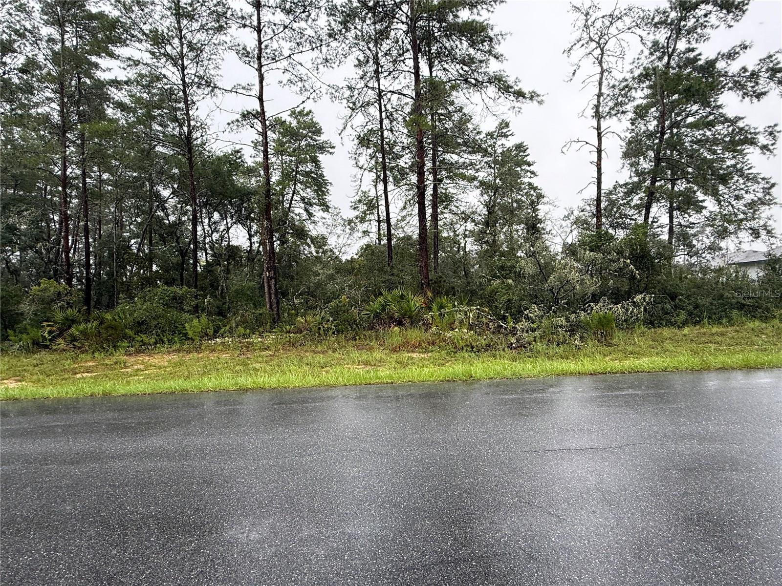 Photo 4 of Land for sale at 0 Sw 176th Loop, Ocala, FL 34473 | MLS# OM731576 | Listing updated on 2026-09-02