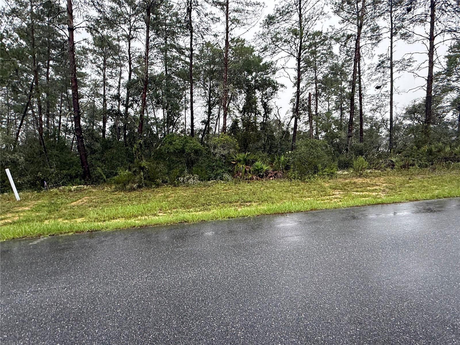 Photo 1 of Land for sale at 0 Sw 176th Loop, Ocala, FL 34473 | MLS# OM731576 | Listing updated on 2026-09-02